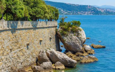 Chauffeur privé pour le Cap d’Antibes : votre transfert de luxe sur la Côte d’Azur